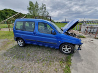 Citroen Berlingo 2.0 HDI - vrata
