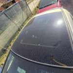 Honda civic VIII panorama krov.