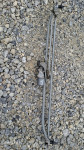 Meriva b prednji motoric brisaca