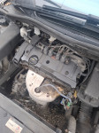 motor citroen/peugeot 1.6 16v