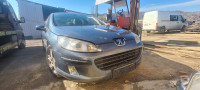 Peugeot 407 DIJELOVI LIMARIJE