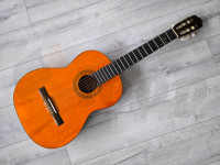 Aria Ariana G20 klasična gitara