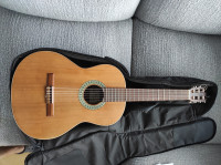 Gitara Paco Castillo