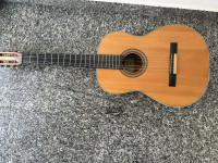 Gitara Proskurnjak Vlado,stanje odlicno,treba samo srediti jednu zicu