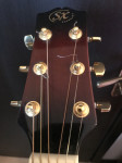 SX ( Essex ) Made in Australia Custom Guitar