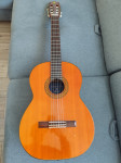 Takeharu klasična gitara G-120