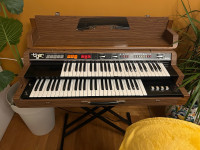 Eko New Tiger orgulje