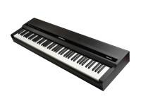 Kurzweil MPS110 stage piano