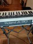 Roland A 30