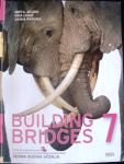 Building Bridges 7