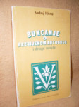 Andrej Hieng: Buncanje o razbijenom autobusu i druge novele