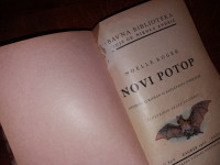 Noelle Roger-Novi potop