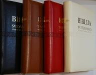 Biblija - Sveto pismo Staroga i Novoga zavjeta