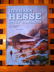 Herman Hesse Peter Camenzind ZAGREB 2017