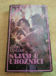 John Updike : SAJAM U UBOŽNICI