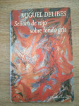 Miguel Delibes: Señora de rojo sobre fondo gris