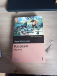 Miguel se Cervantes, Don Quijote (dio prvi)