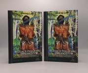 Bezgaća povijesne zbiljnosti I-II