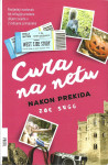CURA NA NETU NAKON PREKIDA - Zoe Sugg
