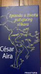 EPIZODA U ŽIVOTU PUTUJUĆEG SLIKARA Cesar Aira
