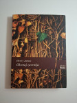 Henry James - Okretaj zavrtnja