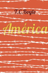 T. C. Boyle AMÉRICA