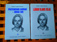 Vojnić Purčar Petko PRSTENOVANI GAVRAN 2 /LJUBAVI BLANKE KOLAK 3