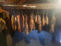 Prodajem slavonski kulen i kulenova seka