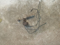 Renault Megane Coupe 2.0 16V, regulator kočnica.