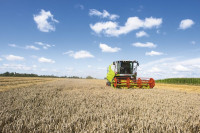 KOMBAJN CLAAS AVERO 240