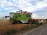 Claas 228 cs