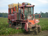 Kombajn za repu Barigelli - povoljno