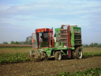 Kombajn za repu Guaresi - povoljno