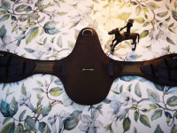 Amerigo Protector Vibram dresurni kolan