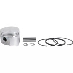 Klip sa karikama Briggs & Stratton