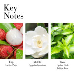 Elizabeth Arden Green Tea Honey Drops Lychee body krema 500ml