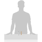 Estee Lauder Pure Color Envy Illuminating Shine Slim Bronze Babe