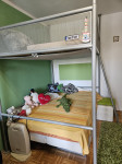 Krevet na kat sa stepenicama - idealan za djecu i tinejdžere!