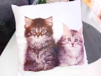 JASTUK UKRASNI - N O V O