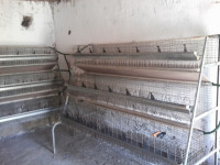 Profesionalni kavezi za kuniće