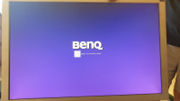 Monitor 22'' BenQ FP222W TFT VGA