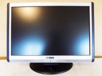 Monitor 20'' (S-View W2005S12)