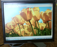 Monitor DELL LCD