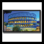 LCD reklamni zaslon NEC MultiSync V651 65″