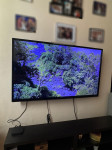 LED smart TV 50 inča, gratis nosač #POVOLJNO#