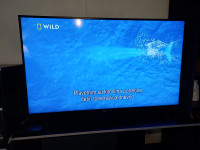 Samsung 55" 55TU7102