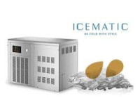 LEDOMAT ICEMATIC *ALMOND * A250FA - Ribarski led
