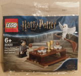 LEGO Harry Potter 30420 - Harry Potter and Hedwig: Owl Delivery