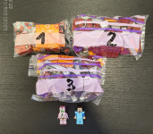 LEGO Minecraft The nether railway 21130