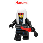 Lego NINJAGO - Pojedinačno 8